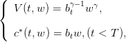 ({             γ−1 γ
   V(t,w ) = bt  w ,
(   ∗
   c(t,w ) = btw, (t < T),
      