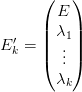       (   )
        E
      | λ1|
E ′k = ||  .||
      (  ..)
        λk 