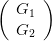(     )
  G1
  G2