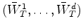 $(\bar{W}^1_T,\ldots,\bar{W}^d_T)$